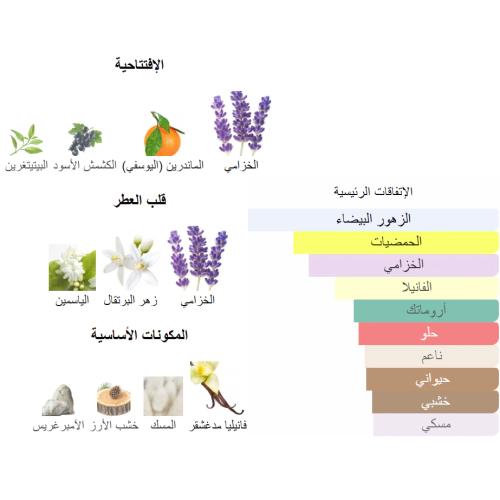 ليبر ايف سان لوران من بانافع للعود ، نصف تولة
