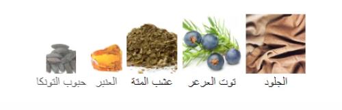 ايرش ليدز من السرتي للعطور 100 جرام