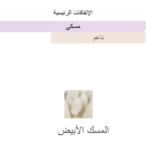  defaultImage