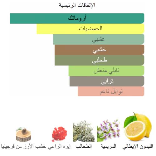 عطر الصخرة من بانافع للعود 100 جرام