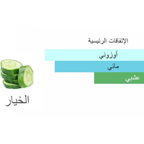 زيت عطري (خيار اخضر) من بانافع للعود 100 جرام