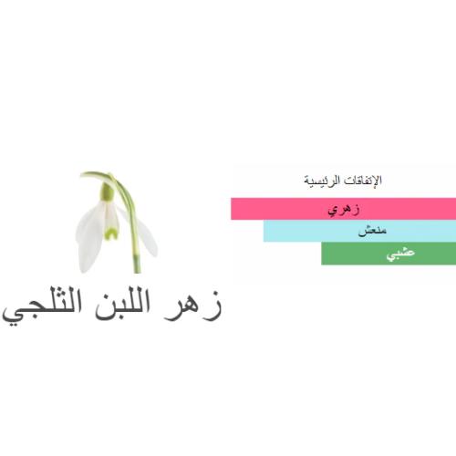 زيت عطري زهرة الثلج - من بانافع للعود - حجم 100 جرام