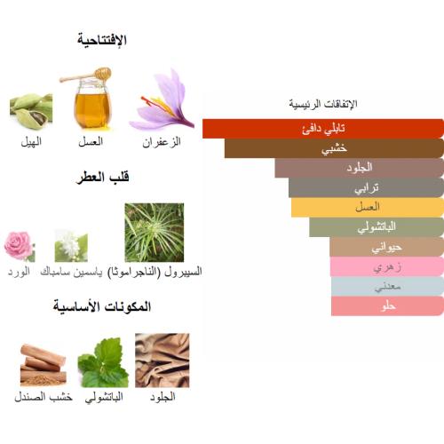 عطر 0816 المستوحى من عطر سكاندال جولد 100 جرام من بانافع للعود